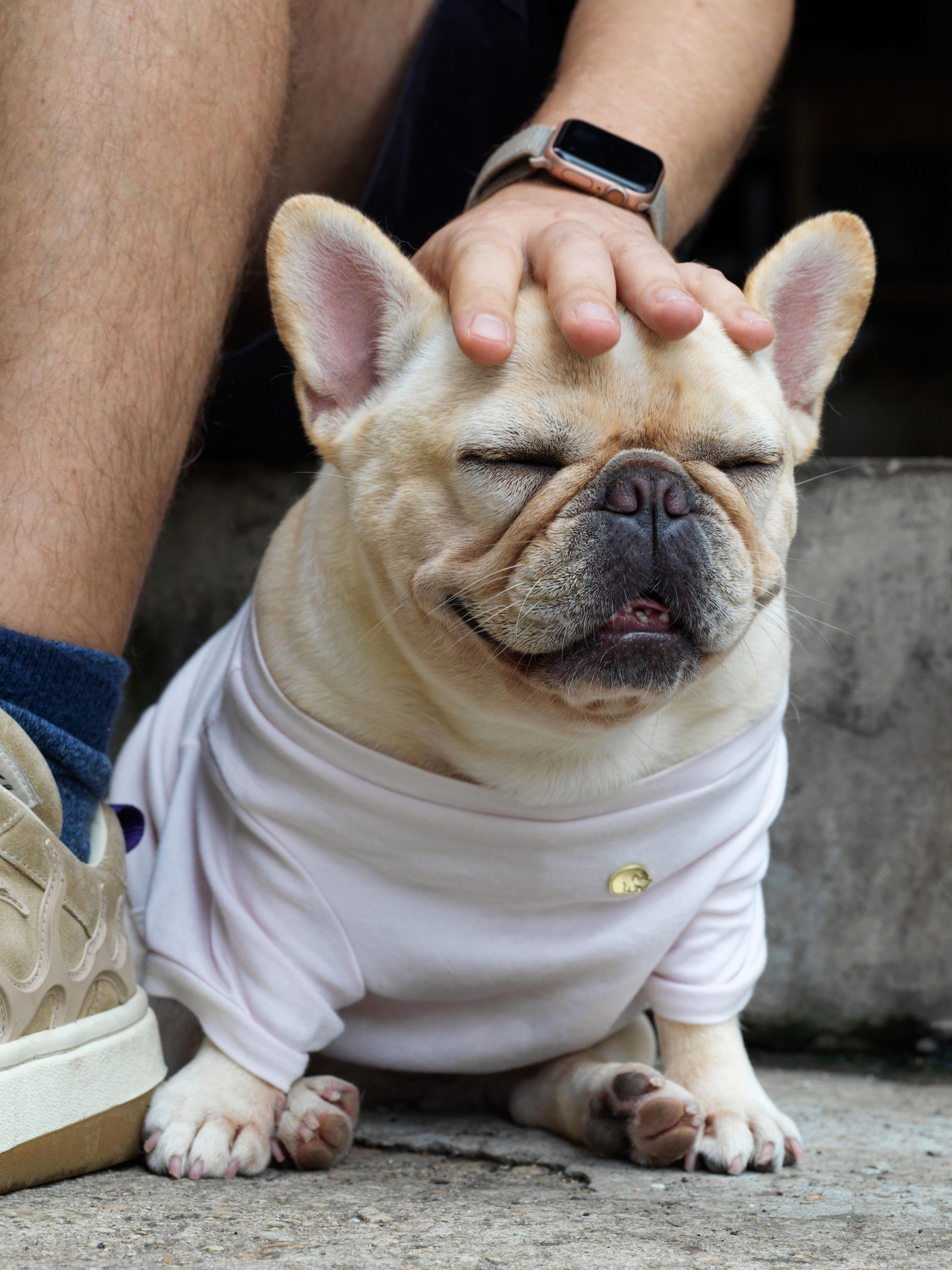 Furry Friends: Yaya the frenchie. Enamel pin.